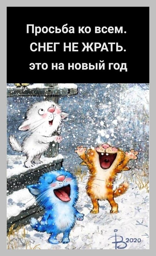 ���� - 14 ������� 2020 � 08:22