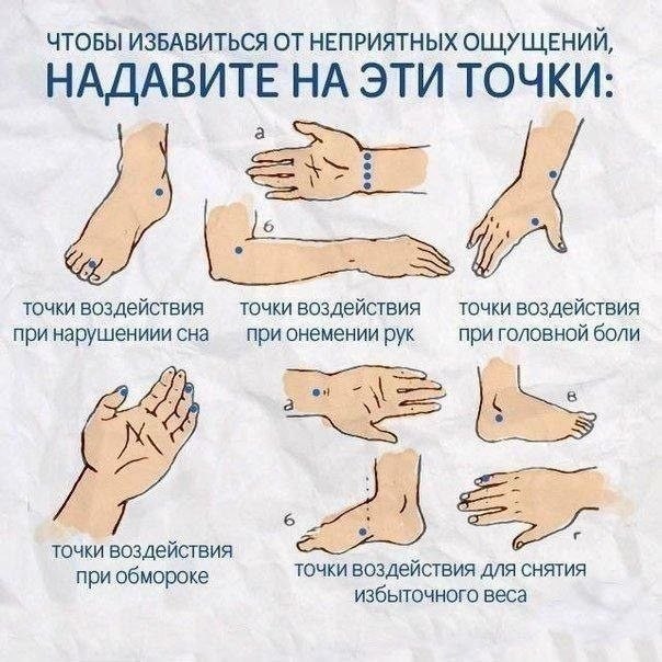 �� �������