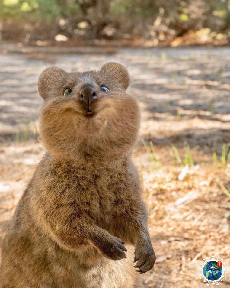 ye a oa, cea aec. - 2