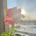 ���� ��������, �����-���������, 62 ���� - ��������� 21 ����� 2021 � ������ ���� ����������