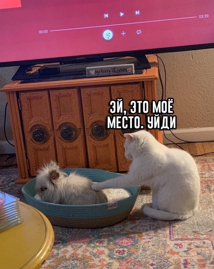     - 3
