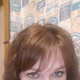 �������, ������, 41 ���