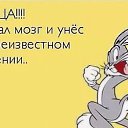 ���� ����������, ��������� - ��������� 28 ������� 2020 � ������ ������ ��������