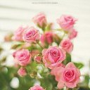 ���� ��������, ������ - ��������� 6 ������� 2020 � ������ ������ ��������