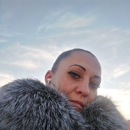 �����, �����-���������, 44 ����