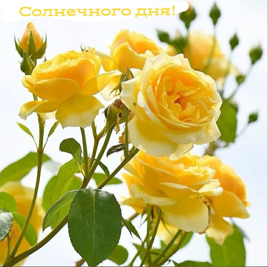   ,    . - 26  2020  09:54