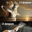 ���� ����, �����������, 50 ��� - ��������� 14 ������� 2021 � ������ ������ ��������