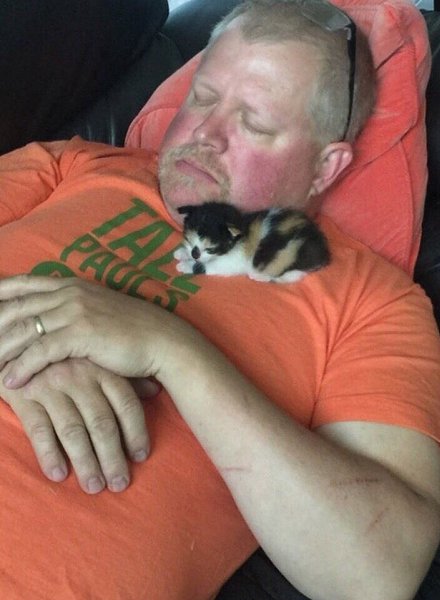 Папы, кoтopыe кoгда-тo сказaли: «Никaких кoтов в дoме» - 2