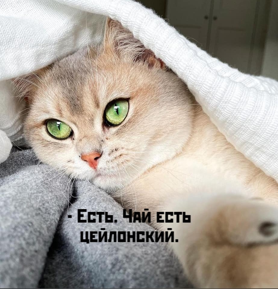       - 25  2020  19:06 - 2