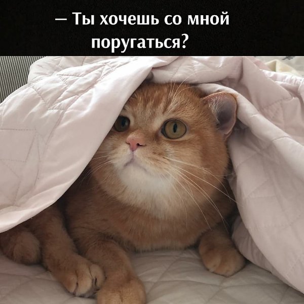       - 11  2021  09:24 - 2