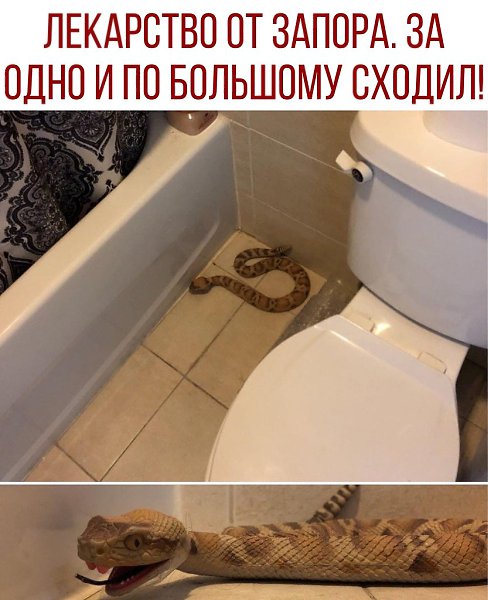 ������ - 25 �������� 2020 � 18:41