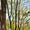 ���� ��������, ������, 59 ��� - ��������� 19 ������� 2020 � ������ ���� ����������