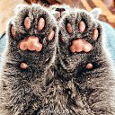 ���� Lady, ������� - ��������� 19 ����� 2021 � ������ ������ ��������