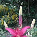  ,  -  23  2020    