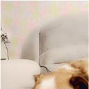 ���� �����, �����, 56 ��� - ��������� 19 �������� 2020 � ������ ���� ����������