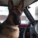 ���� ������, ���������, 64 ���� - ��������� 14 ������ 2020 � ������ ������ ��������