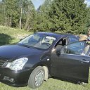 ���� ������, ���������, 54 ���� - ��������� 22 ������ 2020 � ������ ���� ����������