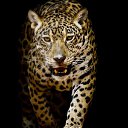 ���� ��� -, ��������� - ��������� 16 ������� 2020 � ������ ���� ����������