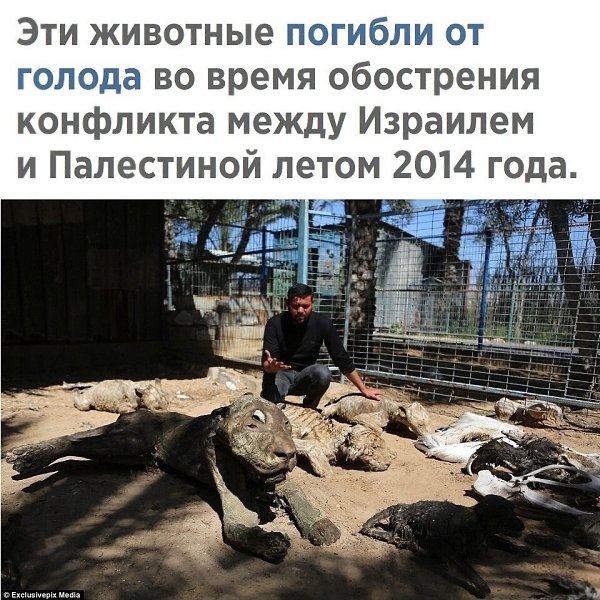 x cpao ae ya y y pe  o ... - 2