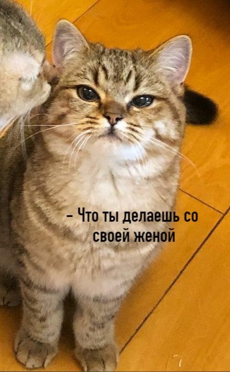 ��� ���� � ����� �� �� - 14 �������� 2020 � 18:42