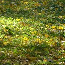  ,  -  18  2020    2020.