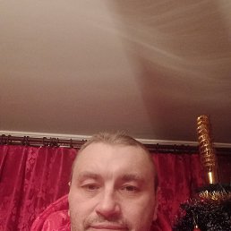 , 53, 