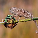 ���� ������, �������� - ��������� 2 ������� 2020 � ������ ������ ��������