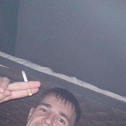 �����, ���������, 31 ���