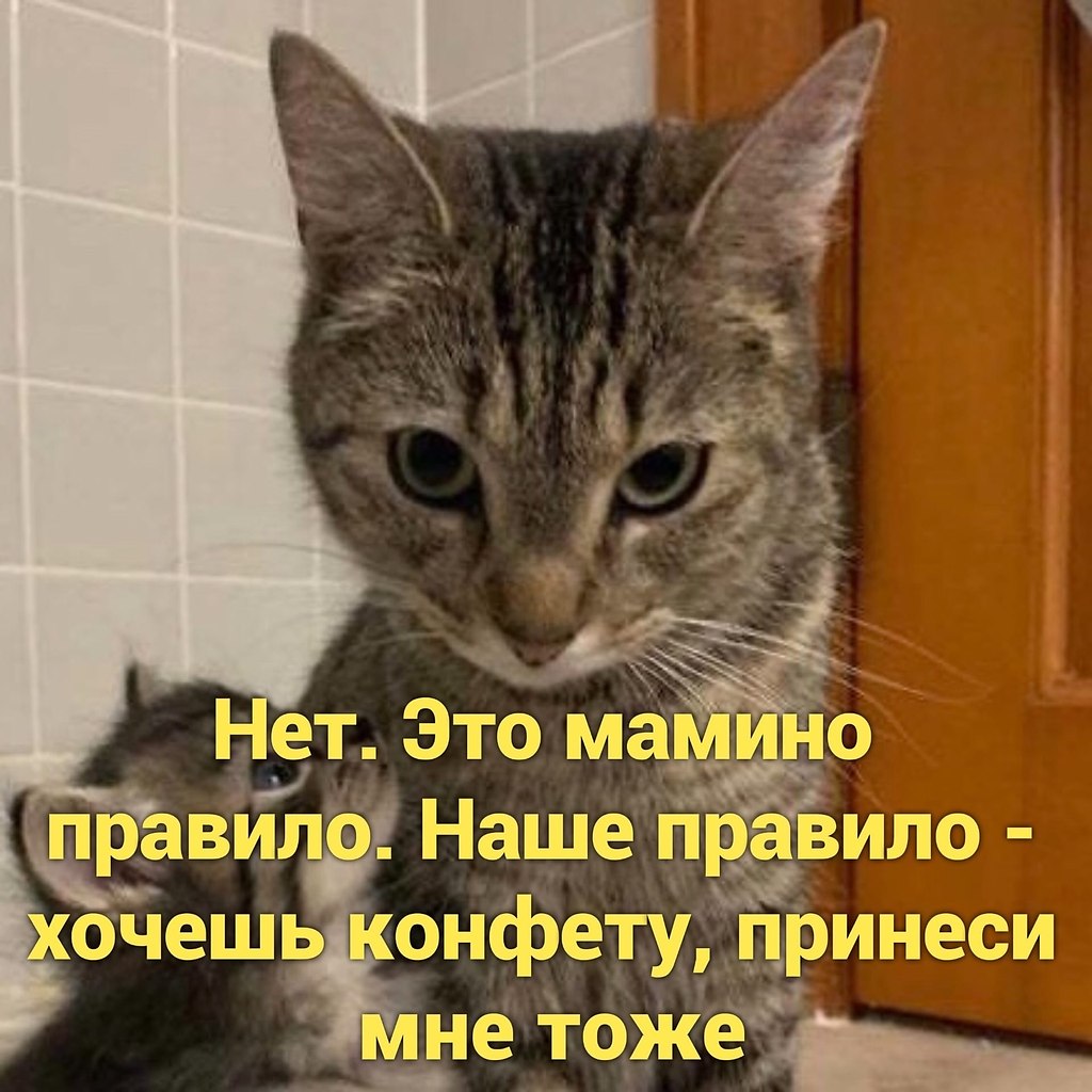    - 4