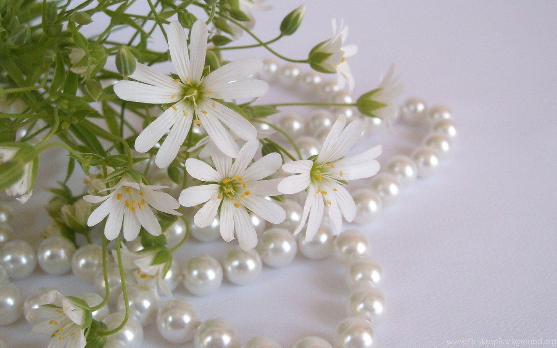 ...   - ... ...  ... ...  -  ...