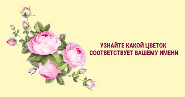 Имена цветы для девочек. Женские цветочные имена. Цветочные имена. Цветы по знакам зодиака по дате рождения. Имена обозначающие цветы женские.