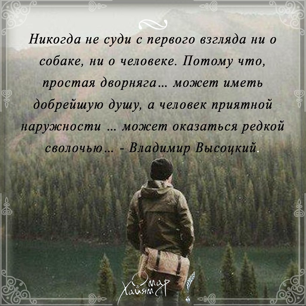 Никогда не суди с первого взгляда ни о собаке, ни о ... | Омар Хайям и  другие великие философы | Фотострана | Пост №2272775003