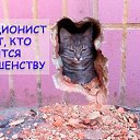 ���� �����, �������, 64 ���� - ��������� 3 �������� 2020 � ������ ������ ��������