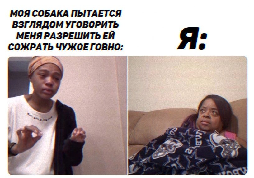 Многие собачники поймут эту боль