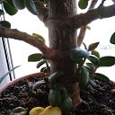 ���� ��������, ������, 58 ��� - ��������� 5 ������ 2020 � ������ ���� ����������