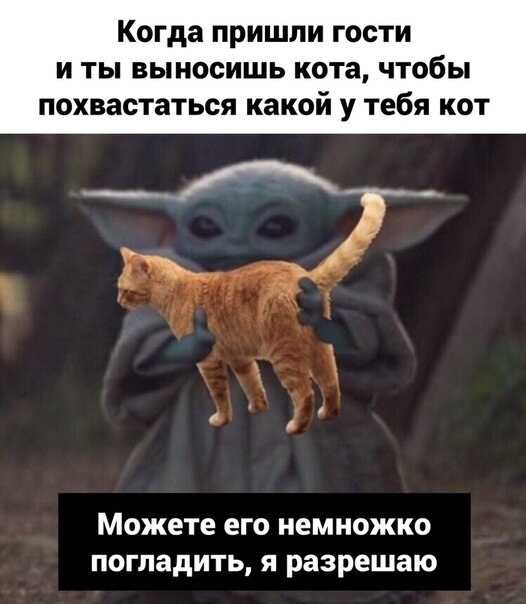 ☆   ☆ - 2  2020  19:16