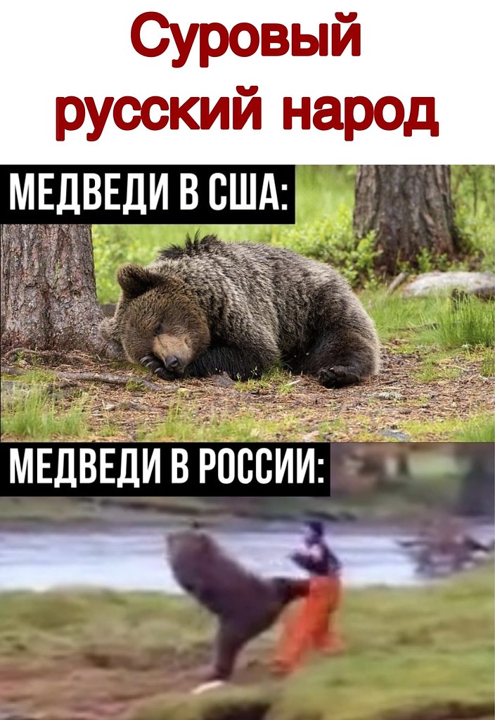 ������ - 17 ������� 2020 � 19:47