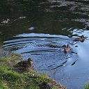  ,  , 60  -  28  2020    