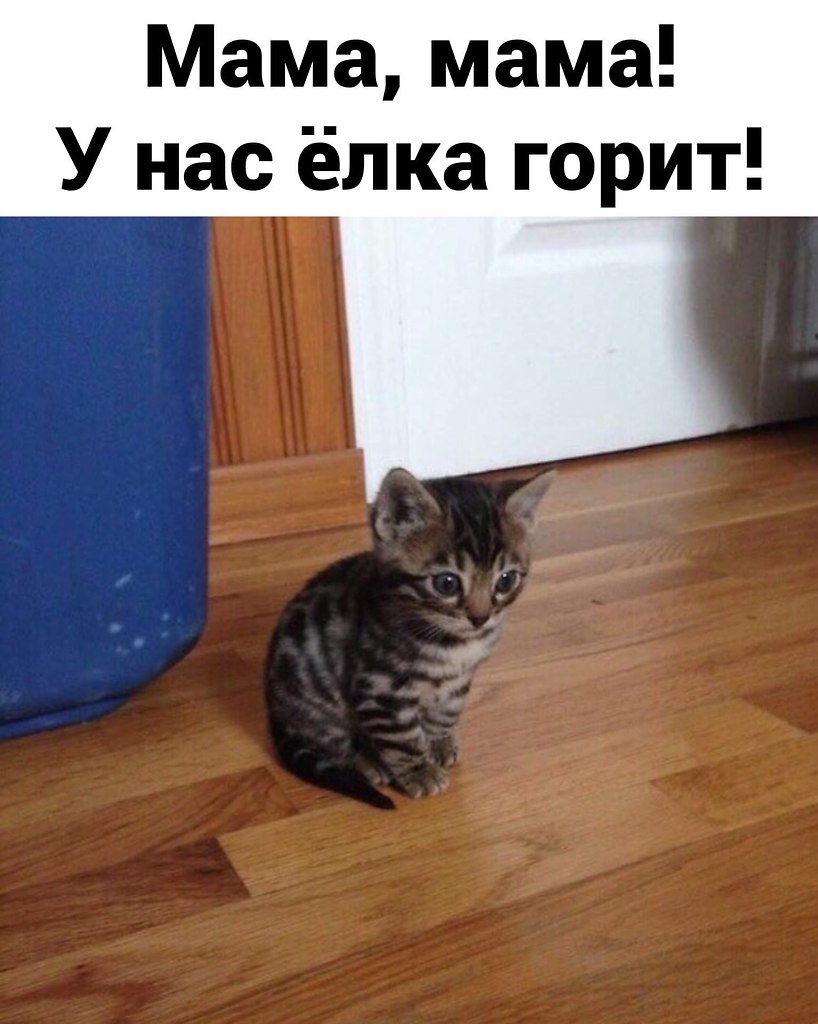    !)
