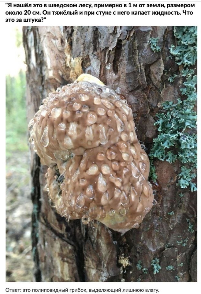 Немного познавательной информации - 4