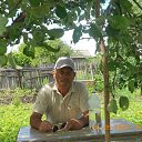 ���� ���������, �������� - ��������� 2 �������� 2020 � ������ ���� ����������