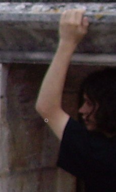 ���� ������, ����, 33 ���� - ��������� 2 ������ 2020