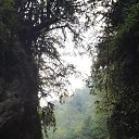 ���� ����, ������, 40 ��� - ��������� 8 ������� 2020 � ������ ���� ����������