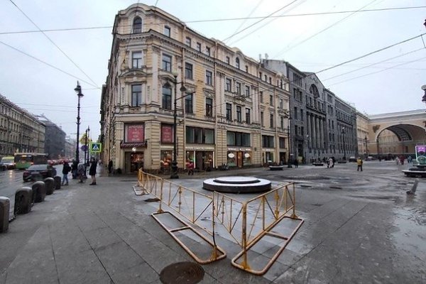 Петербург готовится к завтрашней акции в поддержку Навального - 4