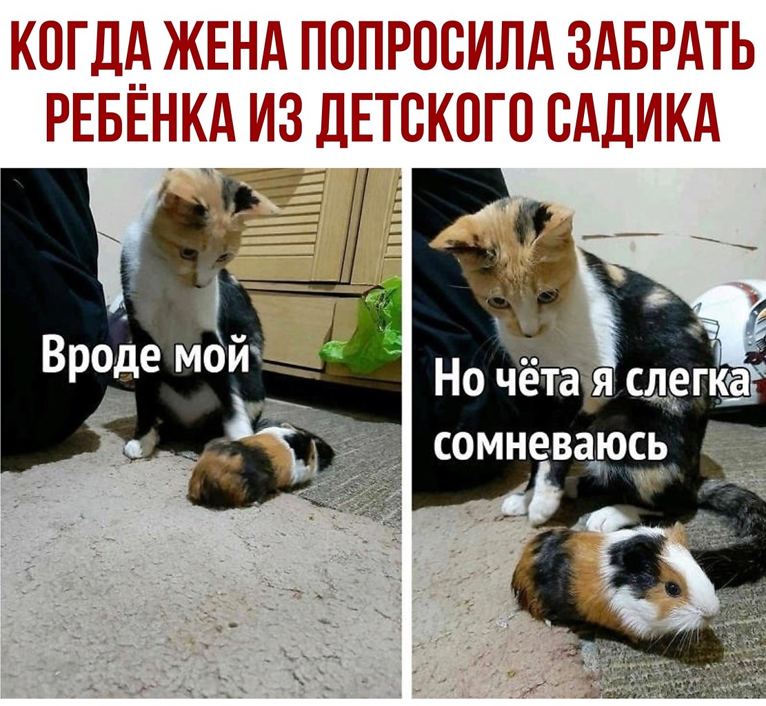 ������ - 21 ������� 2020 � 18:41
