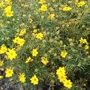 ���� �����, ���-����� - ��������� 11 �������� 2020 � ������ ���� � ���� ������...�