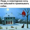 ���� ���������, �������� - ��������� 31 ������� 2020 � ������ ������ ��������