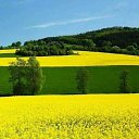  ••,  -  26  2020    