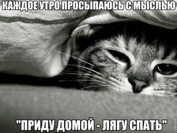   - 15  2021  22:57