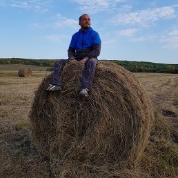 @Lex, ���������, 44 ����